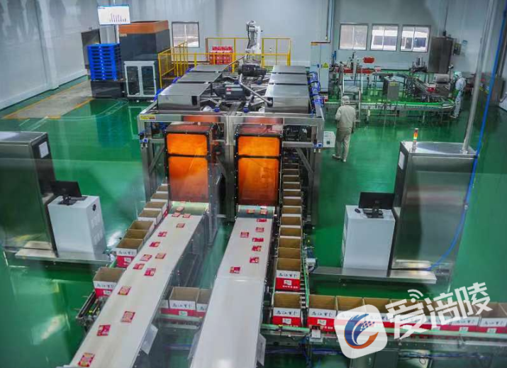 GA黄金甲(中国游)最新官方网站